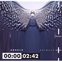 Angels Versus Animals